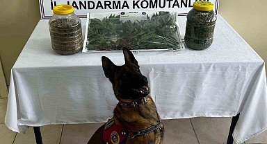 Uyuşturucu operasyonu: 1 tutuklama