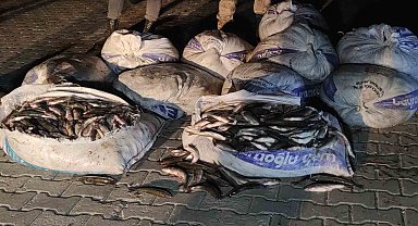 Van'da kaçak avlanılan inci kefali ele geçirildi