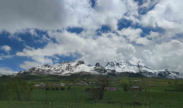 Van&#039;ın dağlarında kış, ovalarında bahar güzelliği yaşanıyor