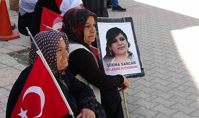 Vanlı anne: &quot;O ceza Selahattin Demirtaş&#039;a azdır&quot;