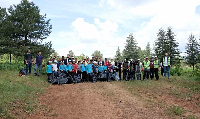 Yangınları önlemek için ormandaki çöpler toplandı