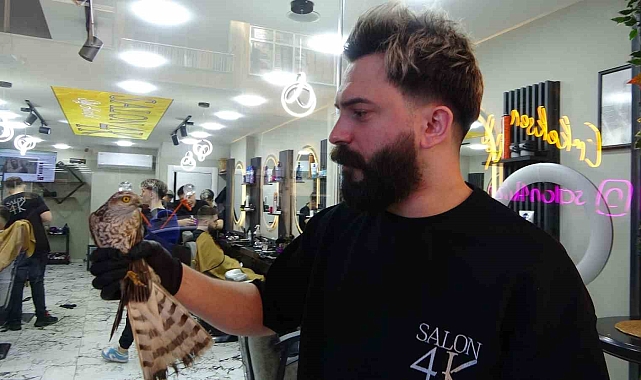 Yavru atmaca bu sefer ağa değil tabelaya çarptı