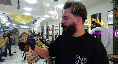 Yavru atmaca bu sefer ağa değil tabelaya çarptı