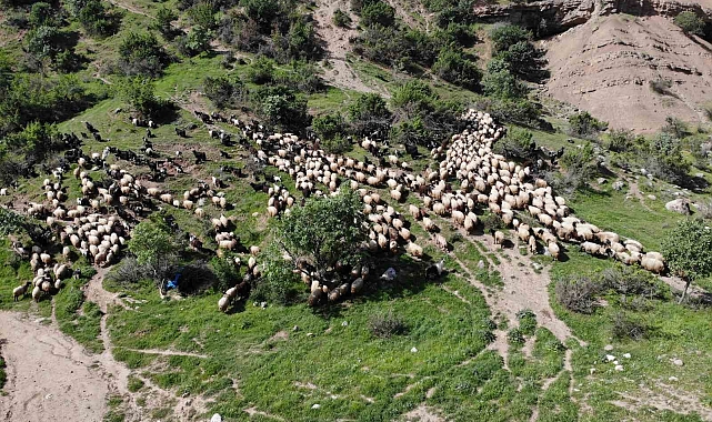 Yaylaklara doğru zorlu yolculuk başladı