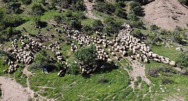 Yaylaklara doğru zorlu yolculuk başladı