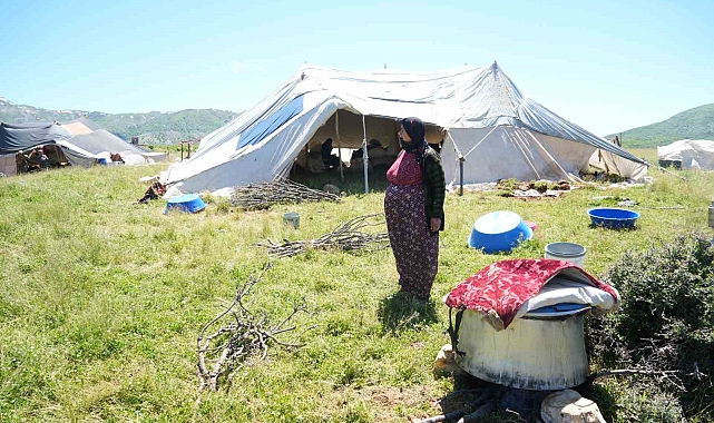 Yaylalar, göçerlerin gelişiyle canlandı