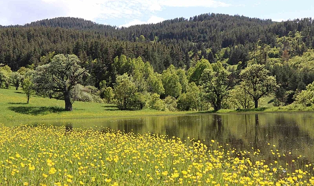 Yaylalara bahar geldi