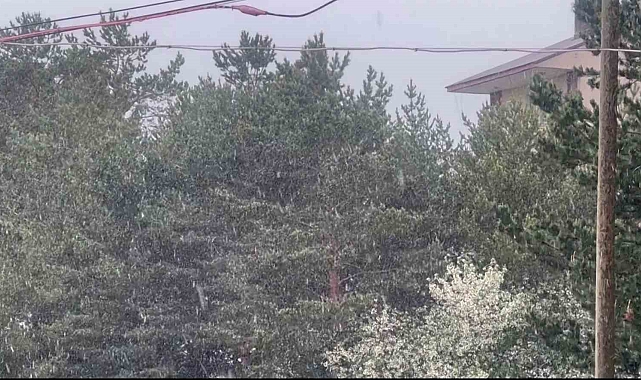 Yaz adeta teğet geçti, o ilçeye kar yağdı