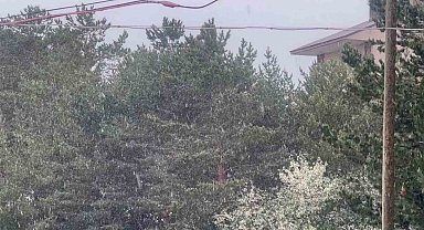 Yaz adeta teğet geçti, o ilçeye kar yağdı