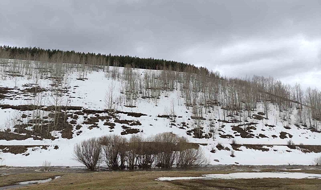 Yeşile bürünen ovanın karlı dağlarla bütünleşmesi görsel şölen sunuyor