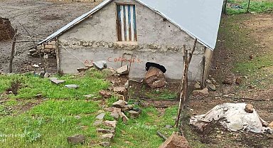 Yoğun yağışlar nedeniyle dağdan kopan kaya parçası ahırın duvarını deldi