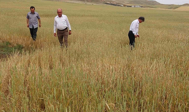 Yozgatta, kuraklık baş gösterdi