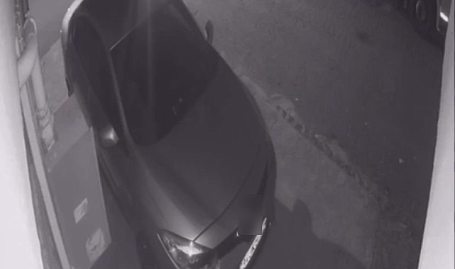 Zeytin isimli sevimli köpeği ezerek sürükleyen sürücüye ceza istemi