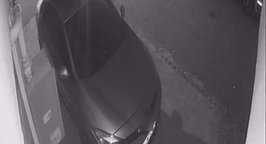 Zeytin isimli sevimli köpeği ezerek sürükleyen sürücüye ceza istemi