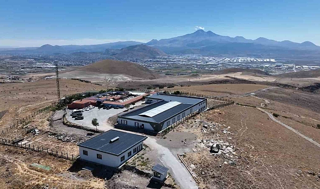 25 Bin Sokak Hayvanına Sahip Çıktılar