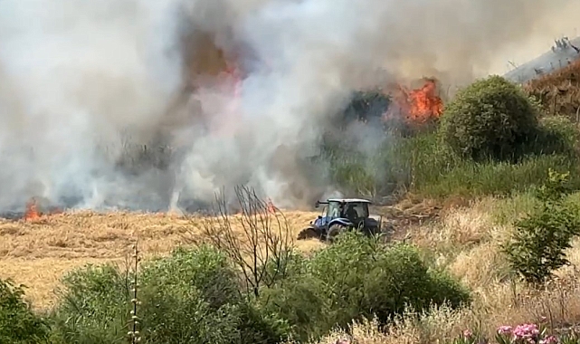 300 dönüm ekili buğday kül oldu