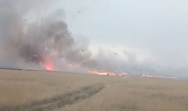 50 dönüm ekili buğday çıkan yangında kül oldu