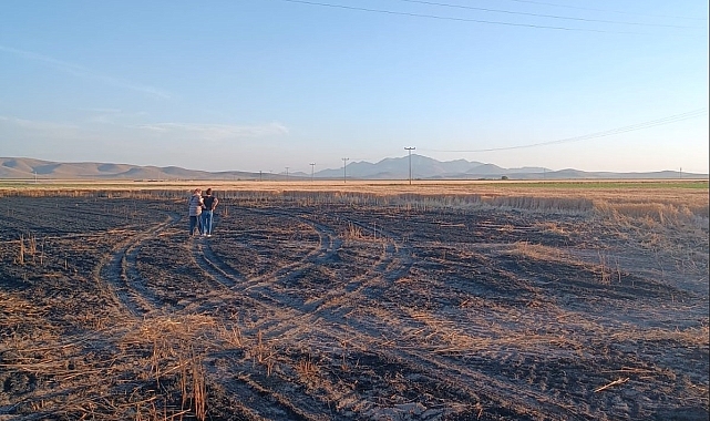 55 dekar buğday ekili araziden 15 dekarı yandı