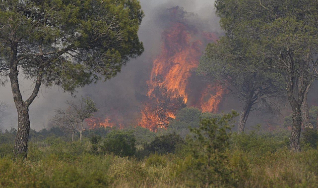 600 hektarlık alan kül oldu. alevlerle mücadele sürüyor