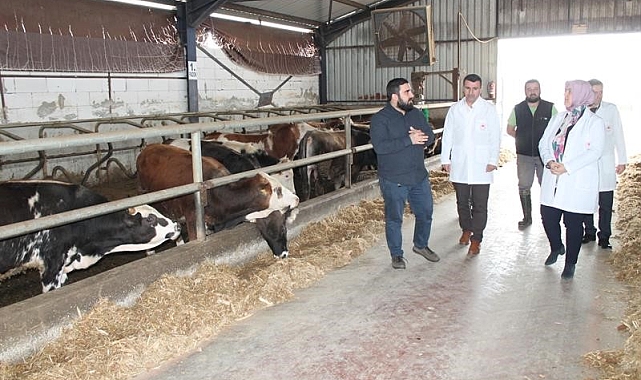 9 bin büyük, 3 bin 500 küçükbaş hayvan kesilecek