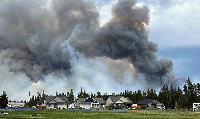 ABD&#039;de meydana gelen orman yangınında bin 700 dönümlük alan kül oldu