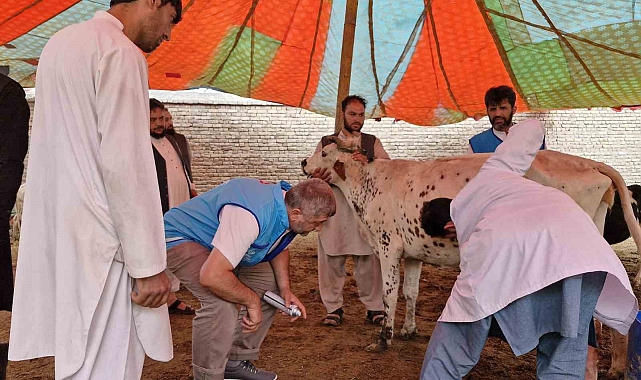 Afganistan&#039;da 13 bin 300 hisse kurban eti dağıtımı