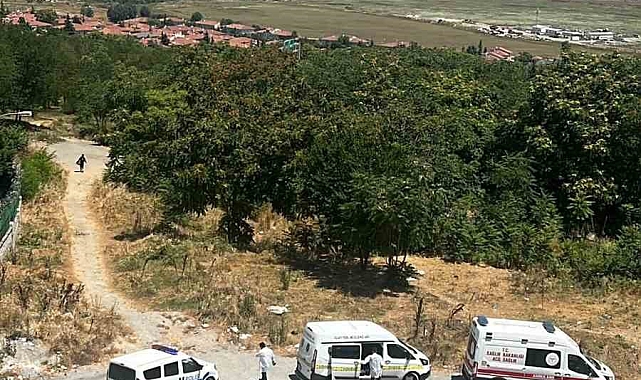 Ağaçlık alanda vücudunda darp izleri olan kadın cesedi bulundu