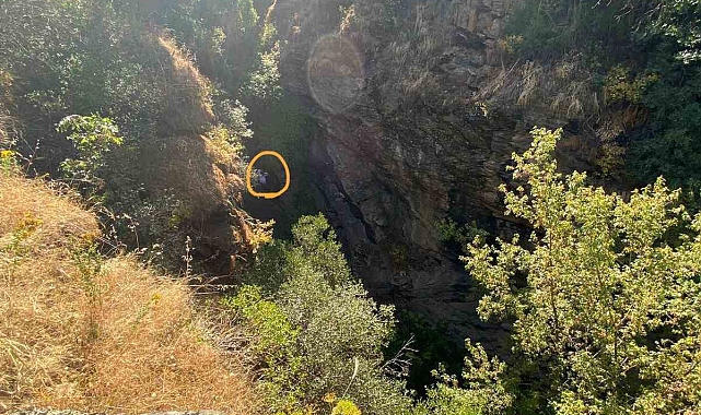 Akrabalarından kaçarken uçurumdan düştü