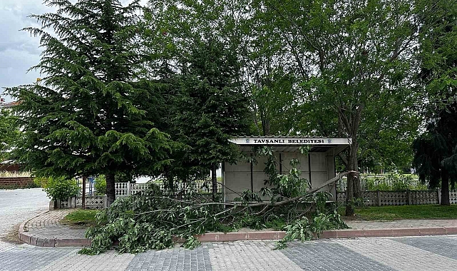 Aniden çıkan rüzgar, ağaç dallarını kırıp yola savurdu
