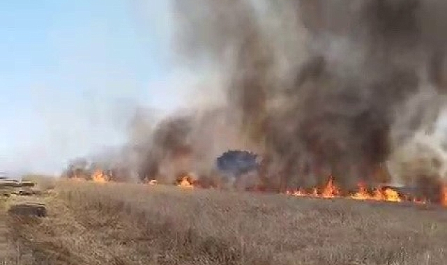 Anız yangını saman balyalarını kül etti