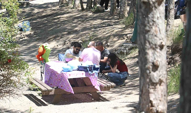 Ankaralılar, piknik yapmak için mesire alanlarına akın etti