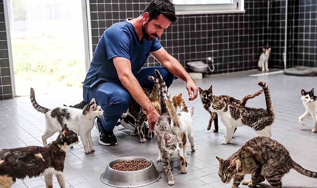 Antalya Büyükşehir Belediyesi&#039;nden örnek davranış