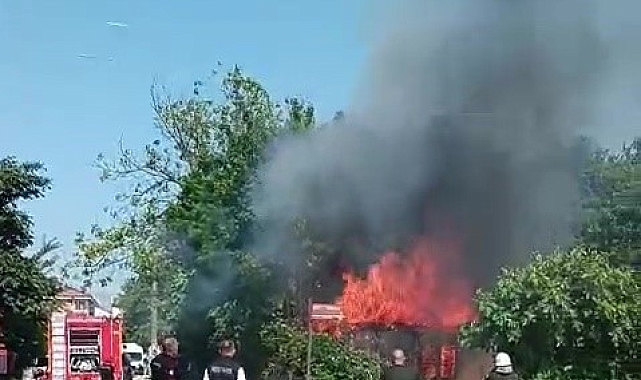 Barakada çıkan yangında, güvercinler telef oldu