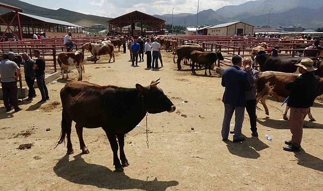 Bayramda, hayvandan insana bulaşabilen hastalıklar konusundan uyarı geldi