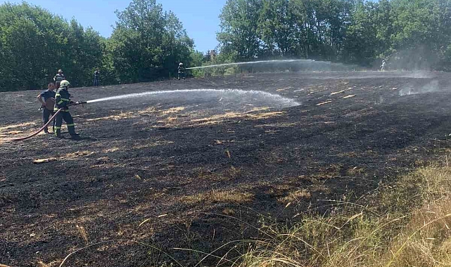 Bir kıvılcım tarlayı yaktı