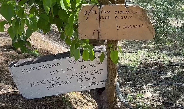 &#039;Bu ağaçtan dut yemek helal, yememek haram&#039;