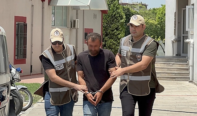 Cani besici, sürüden ayrılan koyunu tekme tokat bayılttı