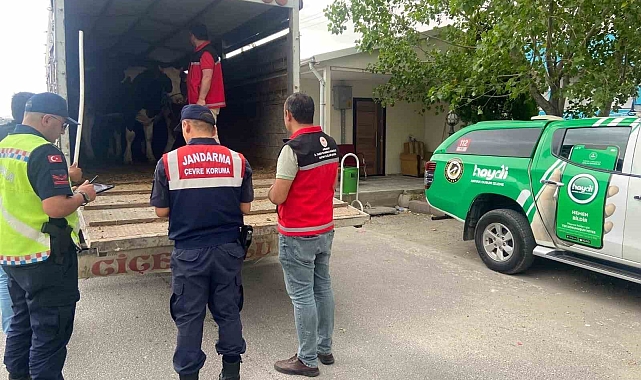 Canlı hayvan alım-satımı yapan tüccarlar uyarıldı