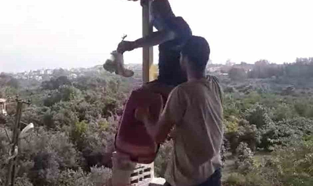 Çatıda bulunan 2 yavru baykuş itfaiye ekipleri tarafından kurtarıldı