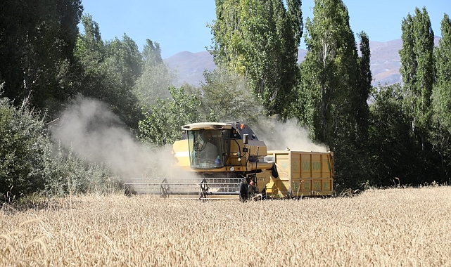 Dane kaybının önenmesi için Erzincan&#039;da da çalışmalar devam ediyor