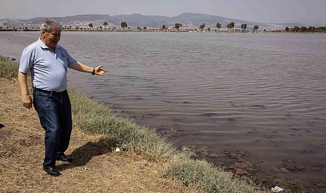 Deniz&#039;in rengi değişti. etrafı kötü kokular sardı