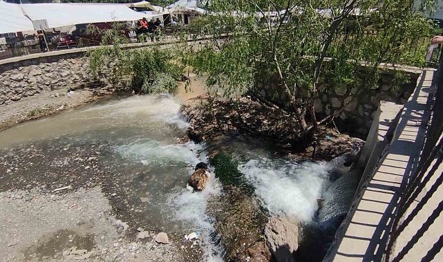 &quot;Dünyada içinden balıkların göç ettiği başka bir şehir yok&quot;