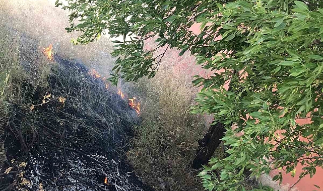 Elazığ&#039;da ağaçlık alanda yangın çıktı