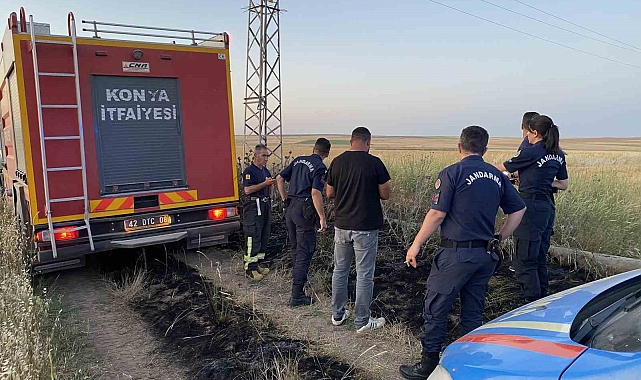 Elektrik akımına kapılan kuşlar, yanarak yere düştü