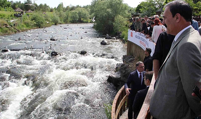 Endemik tür olan inci kefalinin korunması istendi