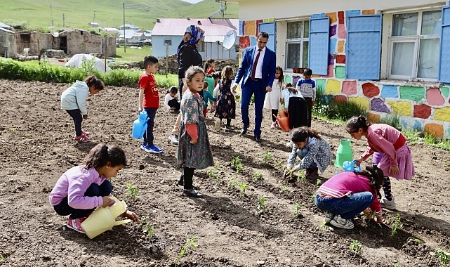 Eren öğretmen, okul bahçesine organik tarım kurdu