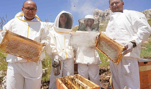 Erzincan&#039;da kadınlar arı sütü üretecek