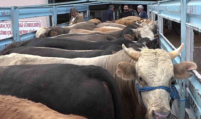 Erzurum Veteriner Yol Kontrol Denetim İstasyonunda, bayram öncesi yoğun mesai