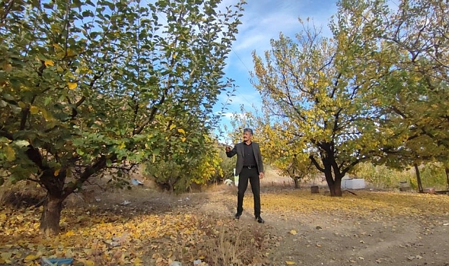 Erzurum&#039;da ormanlara giriş yasaklandı