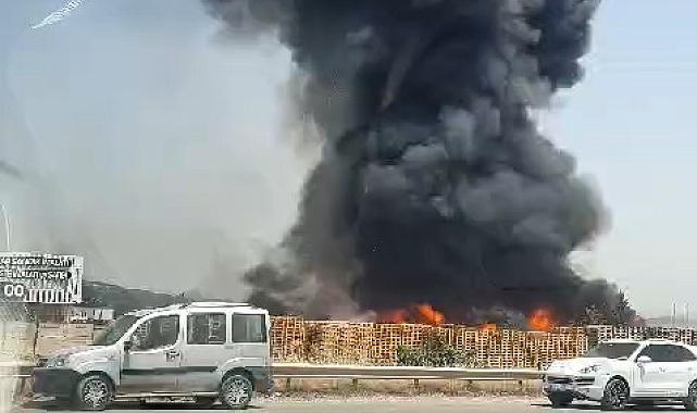 Gebze'de palet fabrikası alev alev yanıyor